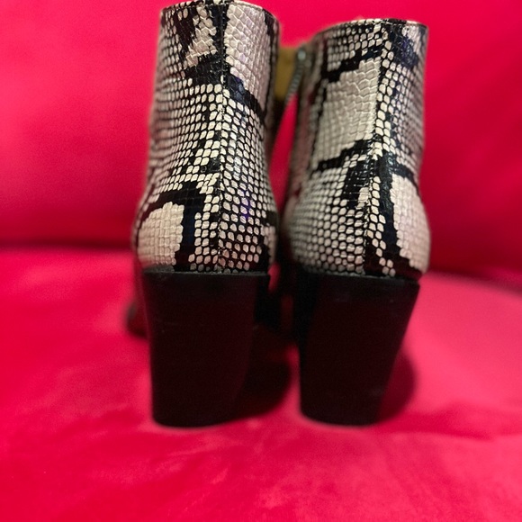 CHLOE python print ankle boots size 41.5 fits like a US 10. - Picture 3 of 5